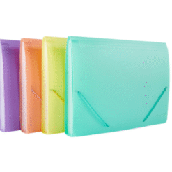 CLASIFICADOR PLASTICO A4 THE PEL