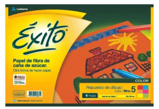 REP. EXITO DE DIBUJO N5 COLOR X6 HJS