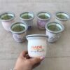 TERMO MATE-SYSTEM 1000 ML