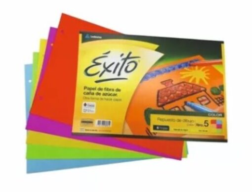 REPUESTO EXITO DE DIBUJO N5 COLOR X6HJ