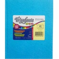 CUAD X48 FORMATO GRANDE 19X24 TRIUNFANTE CELESTE