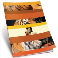 CUADERNO X48 FLEXIBLE GLORIA/AMERICA RAYADO
