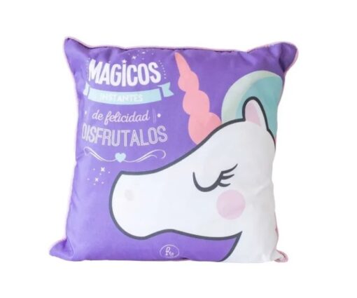 ALMOHADONES SURT 1132