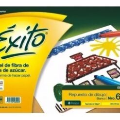 REPUESTO CANSON T/OF APAISADO EXITO